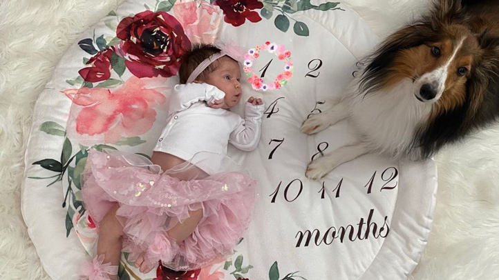 What is Implantation Bleeding and When Does It Occur?