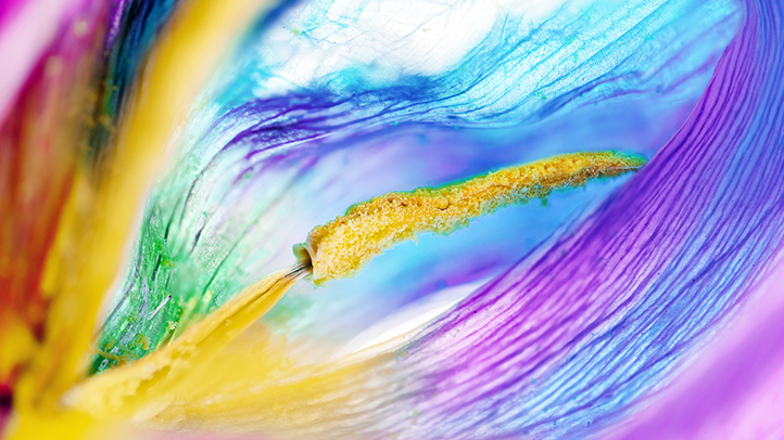 Mis on kõigi nende rasedussümptomite taga? Teie hormoonid selgitatud