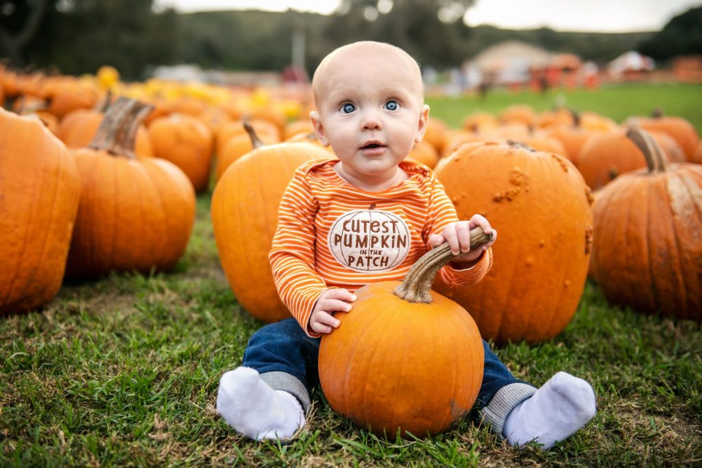 Pumpkin Village 2026 Villorbas: labürint, laborid ja üle 300 tuhande kõrvitsa