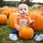Pumpkin Village 2026 Villorbas: labürint, laborid ja üle 300 tuhande kõrvitsa