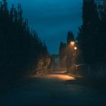 Dracula Land Rumeenias: mis see on, kus see asub ja millal uus teemapark võiks avada